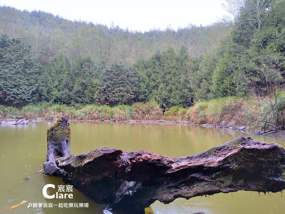 天池心型高山湖泊2-【高雄旅遊】南橫公路台20線梅山口至天池段｜玉山國家公園.jpg